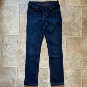 American Eagle Outfitters Blue Skinny Jeans Classic Style